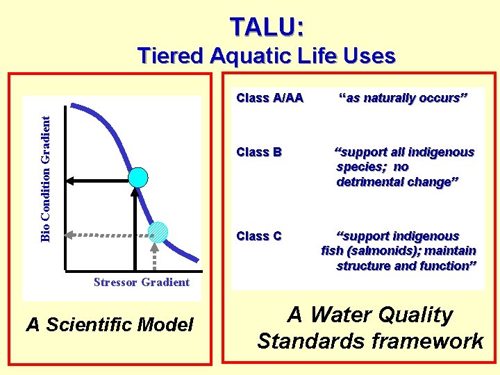 TALU: Tiered Aquatic Life Uses Bio Condition Gradient Class A/AA “as naturally occurs” Class