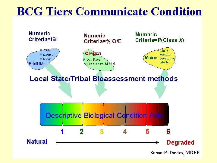 BCG Tiers Communicate Condition a Natural 1 b 2 c 3 d 4 e