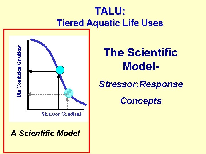 TALU: Bio Condition Gradient Tiered Aquatic Life Uses The Scientific Model. Stressor: Response Concepts