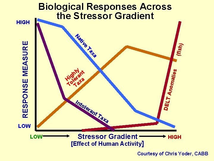 Biological Responses Across the Stressor Gradient HIGH e (fish) tiv RESPONSE MEASURE Na xa