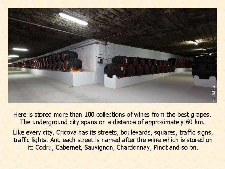 Here is stored more than 100 collections of wines from the best grapes. The