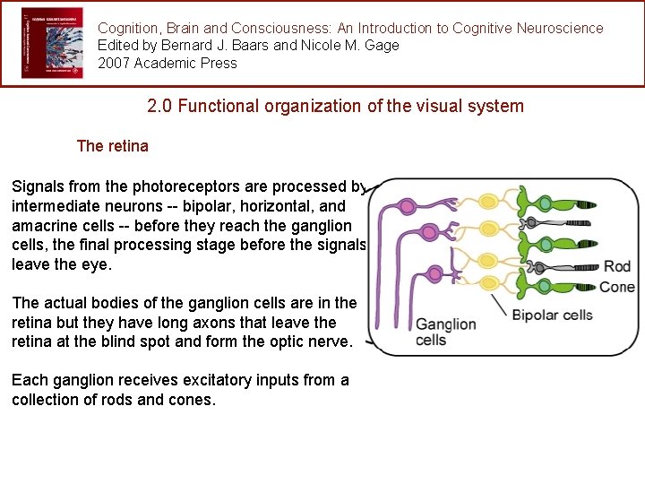 Cognition, Brain and Consciousness: An Introduction to Cognitive Neuroscience Edited by Bernard J. Baars