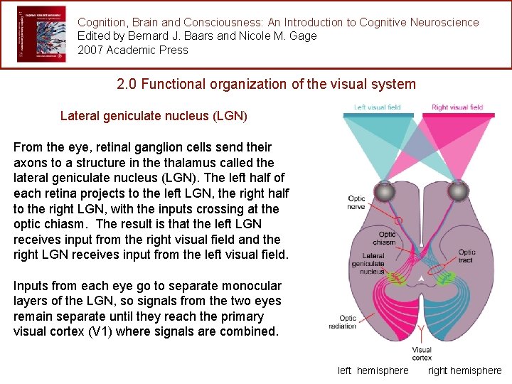 Cognition, Brain and Consciousness: An Introduction to Cognitive Neuroscience Edited by Bernard J. Baars