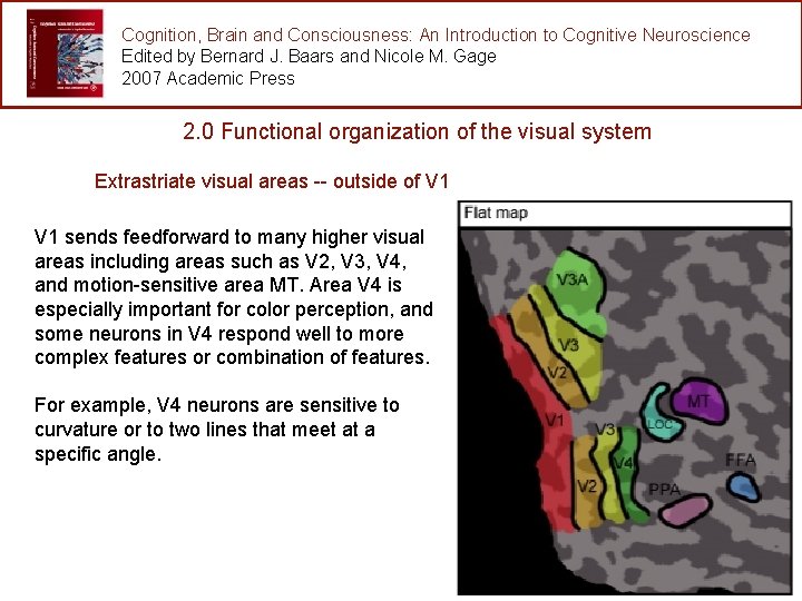 Cognition, Brain and Consciousness: An Introduction to Cognitive Neuroscience Edited by Bernard J. Baars