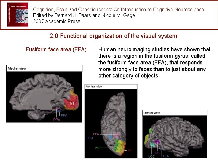 Cognition, Brain and Consciousness: An Introduction to Cognitive Neuroscience Edited by Bernard J. Baars