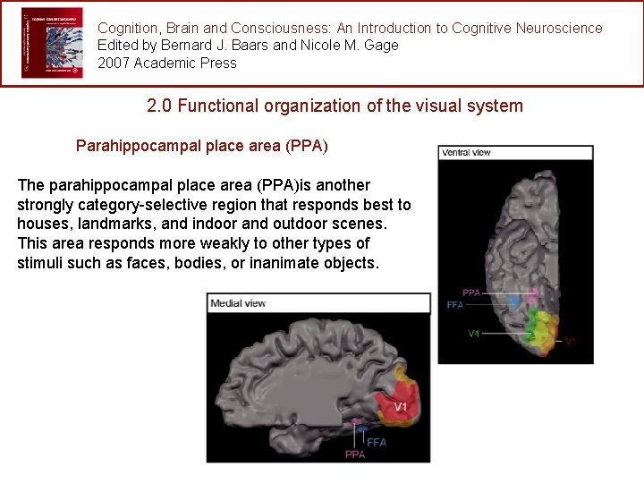 Cognition, Brain and Consciousness: An Introduction to Cognitive Neuroscience Edited by Bernard J. Baars