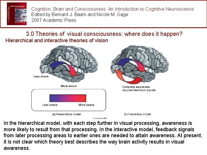 Cognition, Brain and Consciousness: An Introduction to Cognitive Neuroscience Edited by Bernard J. Baars