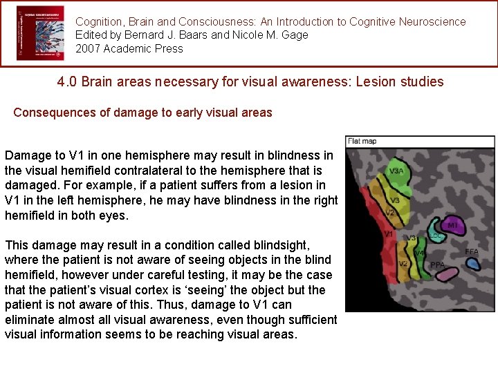 Cognition, Brain and Consciousness: An Introduction to Cognitive Neuroscience Edited by Bernard J. Baars