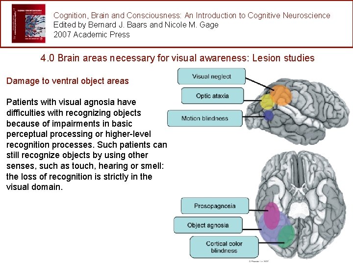 Cognition, Brain and Consciousness: An Introduction to Cognitive Neuroscience Edited by Bernard J. Baars