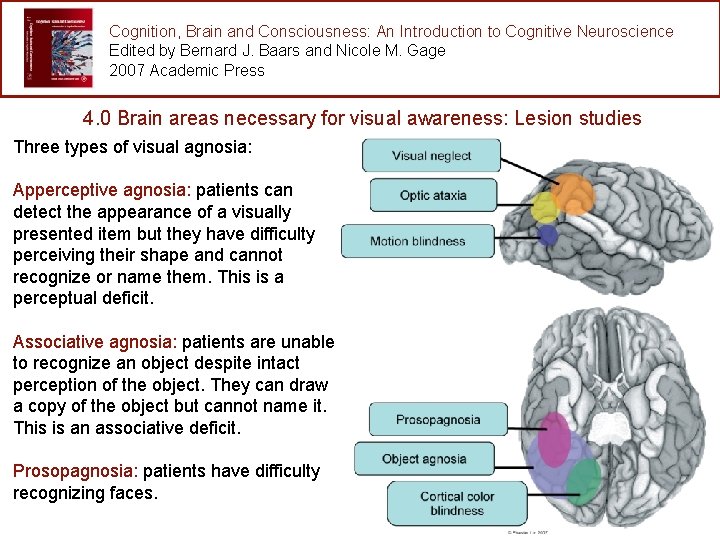 Cognition, Brain and Consciousness: An Introduction to Cognitive Neuroscience Edited by Bernard J. Baars