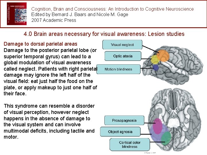 Cognition, Brain and Consciousness: An Introduction to Cognitive Neuroscience Edited by Bernard J. Baars