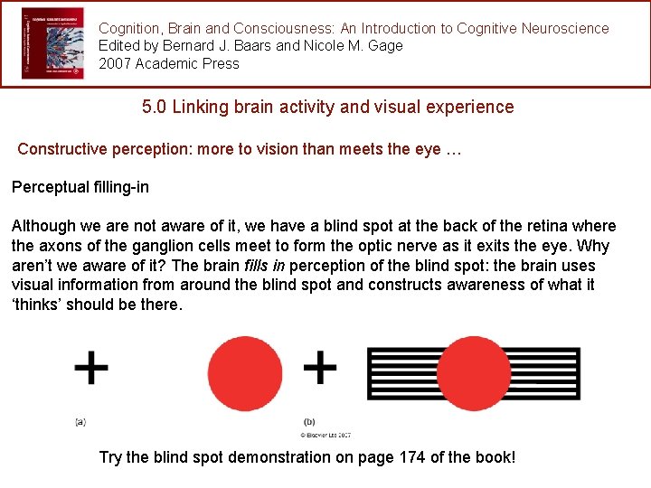 Cognition, Brain and Consciousness: An Introduction to Cognitive Neuroscience Edited by Bernard J. Baars