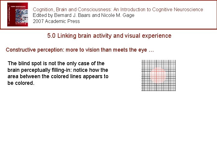 Cognition, Brain and Consciousness: An Introduction to Cognitive Neuroscience Edited by Bernard J. Baars