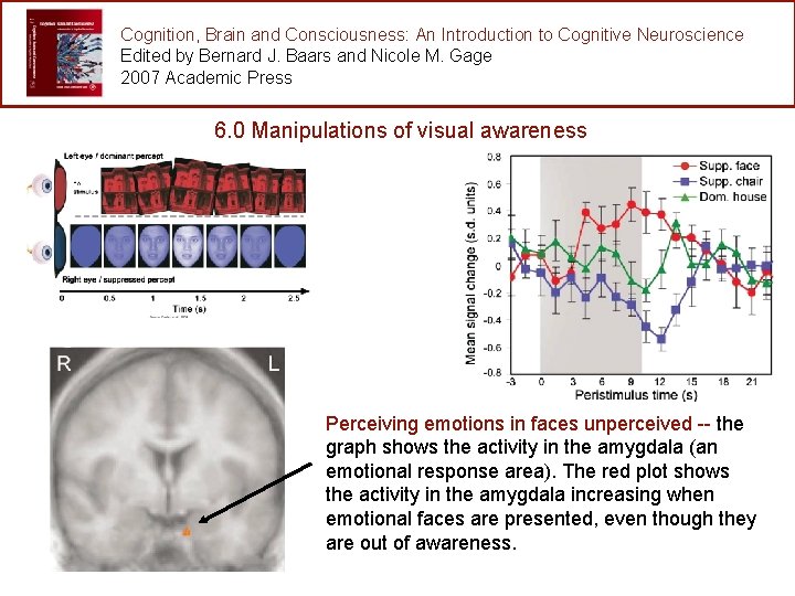 Cognition, Brain and Consciousness: An Introduction to Cognitive Neuroscience Edited by Bernard J. Baars