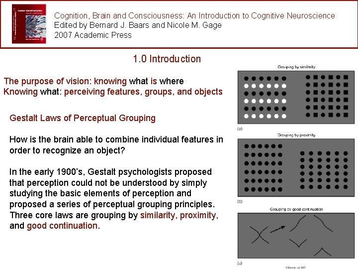 Cognition, Brain and Consciousness: An Introduction to Cognitive Neuroscience Edited by Bernard J. Baars