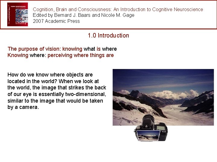 Cognition, Brain and Consciousness: An Introduction to Cognitive Neuroscience Edited by Bernard J. Baars