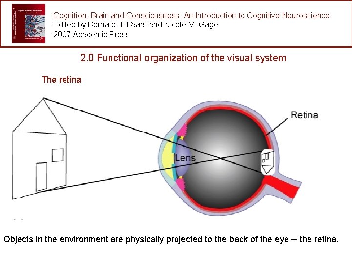 Cognition, Brain and Consciousness: An Introduction to Cognitive Neuroscience Edited by Bernard J. Baars