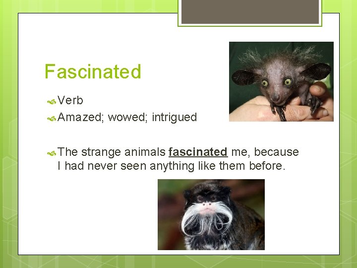 Fascinated Verb Amazed; The wowed; intrigued strange animals fascinated me, because I had never