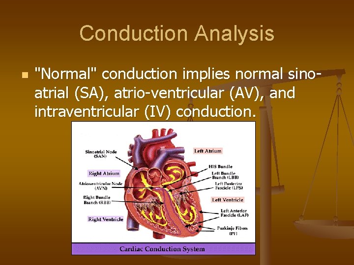 Conduction Analysis n "Normal" conduction implies normal sinoatrial (SA), atrio-ventricular (AV), and intraventricular (IV)