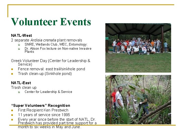 Volunteer Events NATL-West 2 separate Ardisia crenata plant removals q q SNRE, Wetlands Club,
