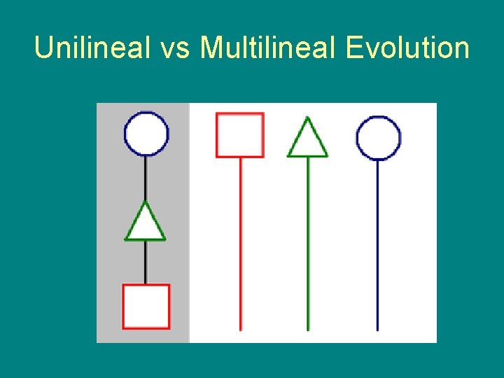 Unilineal vs Multilineal Evolution 