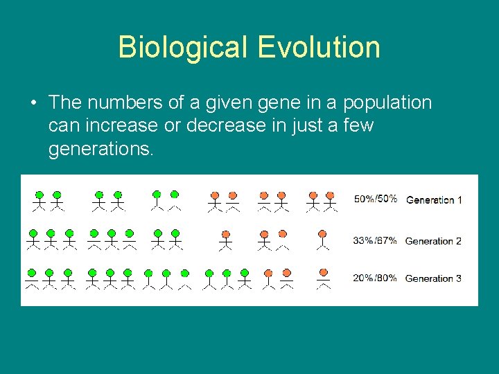 Biological Evolution • The numbers of a given gene in a population can increase