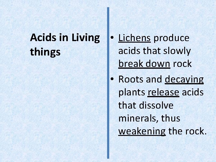 Acids in Living • Lichens produce acids that slowly things break down rock •