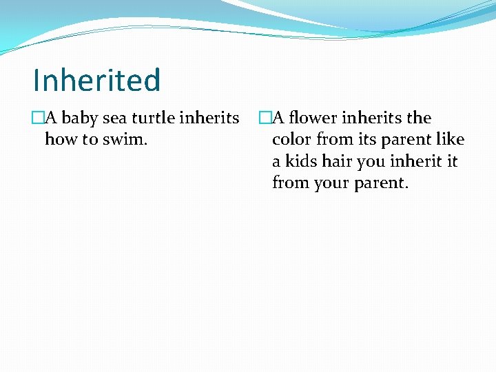Inherited �A baby sea turtle inherits how to swim. �A flower inherits the color