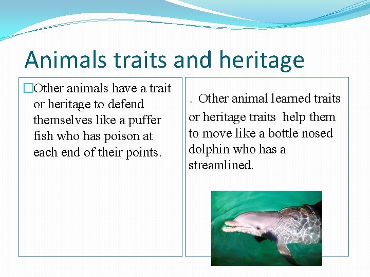 Animals traits and heritage �Other animals have a trait. Other animal learned traits or