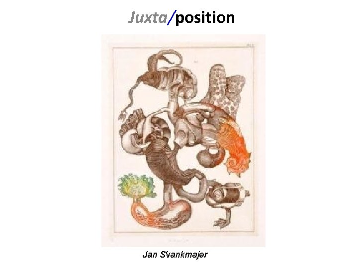 Juxta/position Jan S vankmajer 