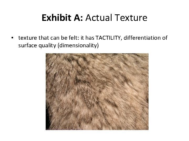 Exhibit A: Actual Texture • texture that can be felt: it has TACTILITY, differentiation