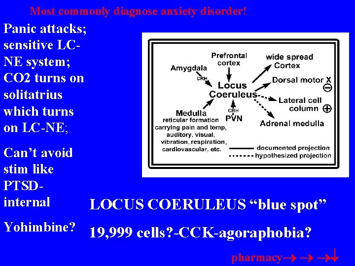 Most commonly diagnose anxiety disorder! Panic attacks; sensitive LCNE system; CO 2 turns on
