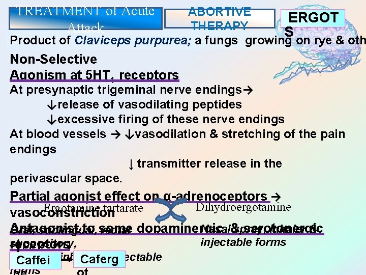 TREATMENT of Acute Attack ABORTIVE ERGOT THERAPY S Product of Claviceps purpurea; a fungs