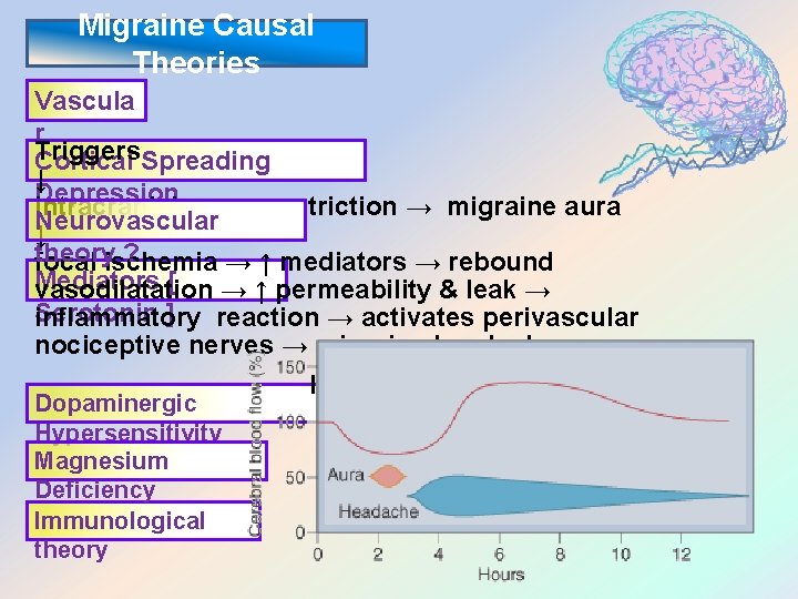 Migraine Causal Theories Vascula r Triggers. Spreading Cortical ↓ Depression Intracranial vasoconstriction → migraine