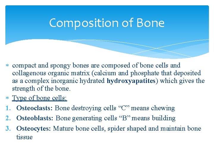 Composition of Bone compact and spongy bones are composed of bone cells and collagenous