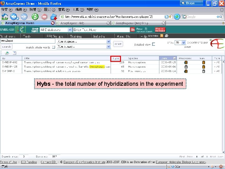 Hybs - the total number of hybridizations in the experiment 