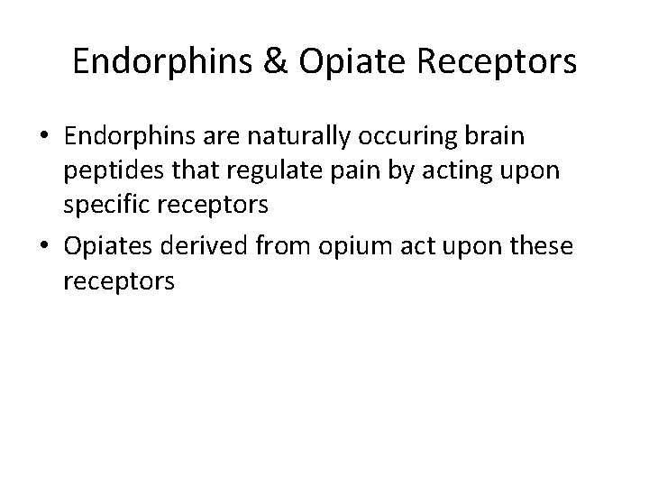 Endorphins & Opiate Receptors • Endorphins are naturally occuring brain peptides that regulate pain