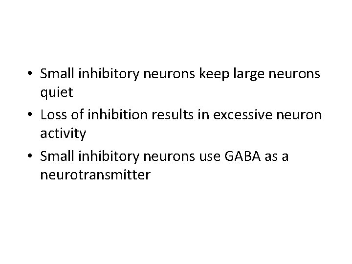  • Small inhibitory neurons keep large neurons quiet • Loss of inhibition results