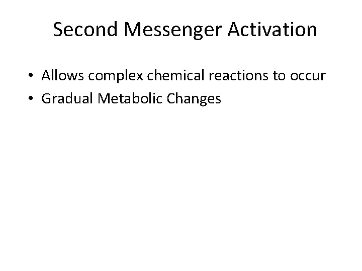 Second Messenger Activation • Allows complex chemical reactions to occur • Gradual Metabolic Changes