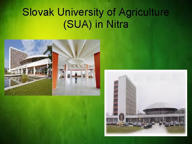 Slovak University of Agriculture (SUA) in Nitra 