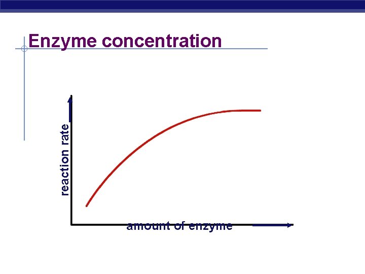 reaction rate Enzyme concentration amount of enzyme 