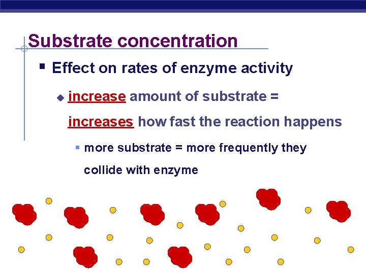Substrate concentration § Effect on rates of enzyme activity u increase amount of substrate
