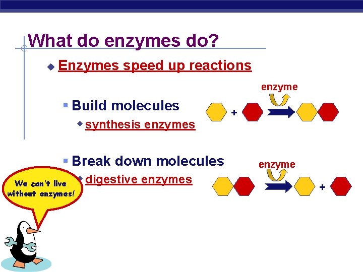 What do enzymes do? u Enzymes speed up reactions enzyme § Build molecules w