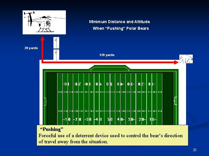 Minimum Distance and Altitude When “Pushing” Polar Bears 20 yards 120 yards B E