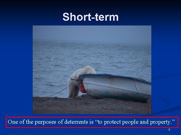 Short-term One of the purposes of deterrents is “to protect people and property. ”