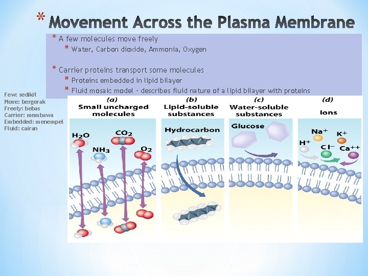 * * A few molecules move freely * Water, Carbon dioxide, Ammonia, Oxygen *