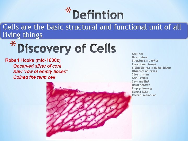 * Cells are the basic structural and functional unit of all living things *