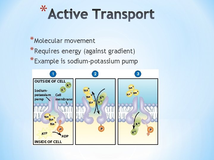 * *Molecular movement *Requires energy (against gradient) *Example is sodium-potassium pump 