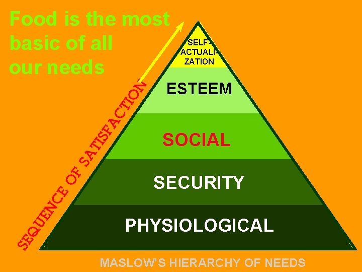 Food is the most basic of all our needs SELFACTUALIZATION ESTEEM SOCIAL SECURITY PHYSIOLOGICAL