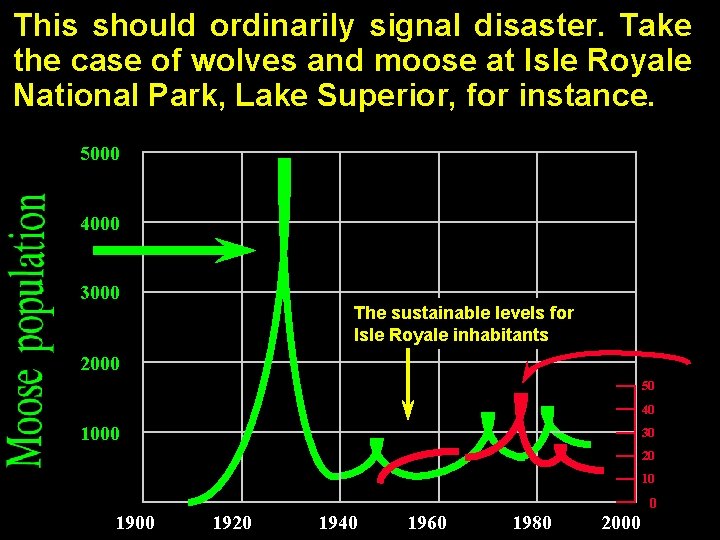 This should ordinarily signal disaster. Take the case of wolves and moose at Isle